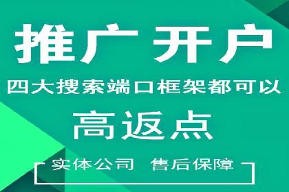案例分析：高效信息流广告投放策略