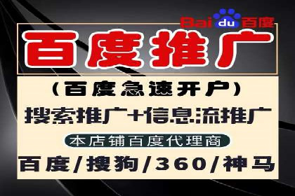 SEM广告创意与优化：成功案例分享